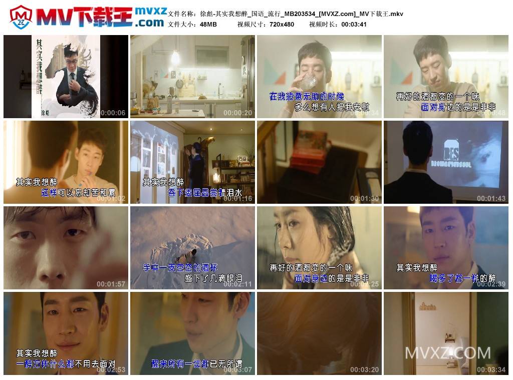 徐彪-其实我想醉_国语_流行_MB203534